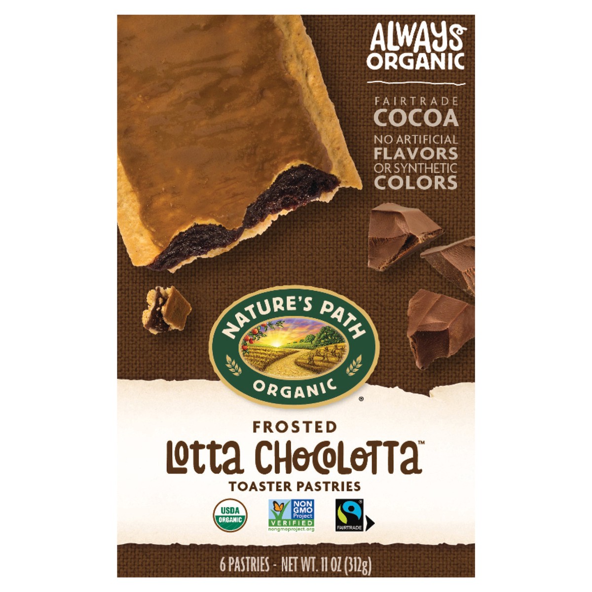 slide 1 of 6, Nature's Path Organic Nature's Path Frosted Lotta Chocolotta Toaster Pastries, 11 oz