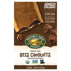 Nature's Path Organic Nature's Path Frosted Lotta Chocolotta Toaster Pastries - 11 oz