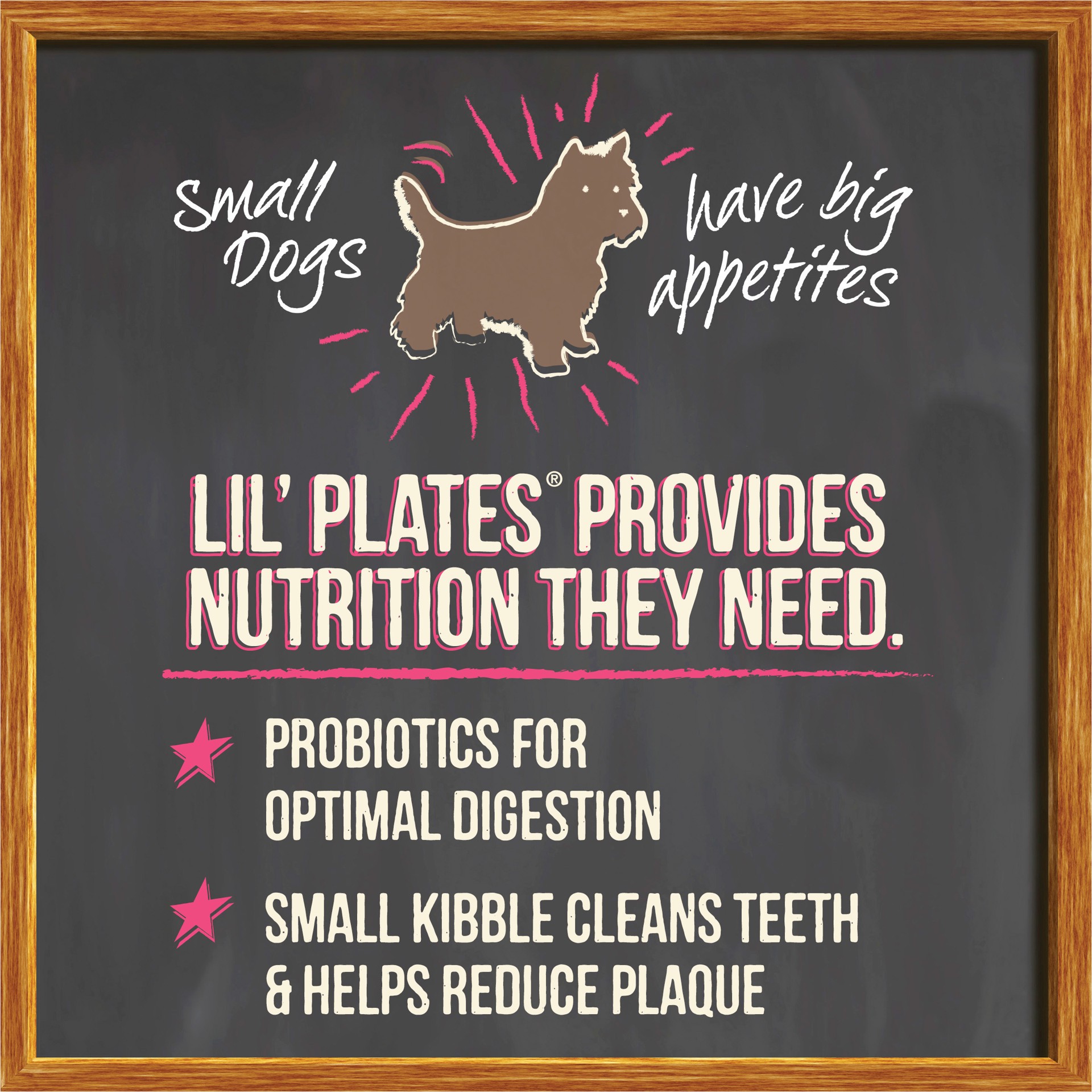 slide 3 of 9, Merrick Lil' Plates Premium Grain Free Dry Dog Food For Small Dogs, Real Chicken And Sweet Potato Kibble, 20 lb