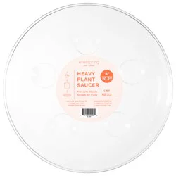 Curtis Wagner Everspring Heavy Plant Saucer 8 Inch 1 ea
