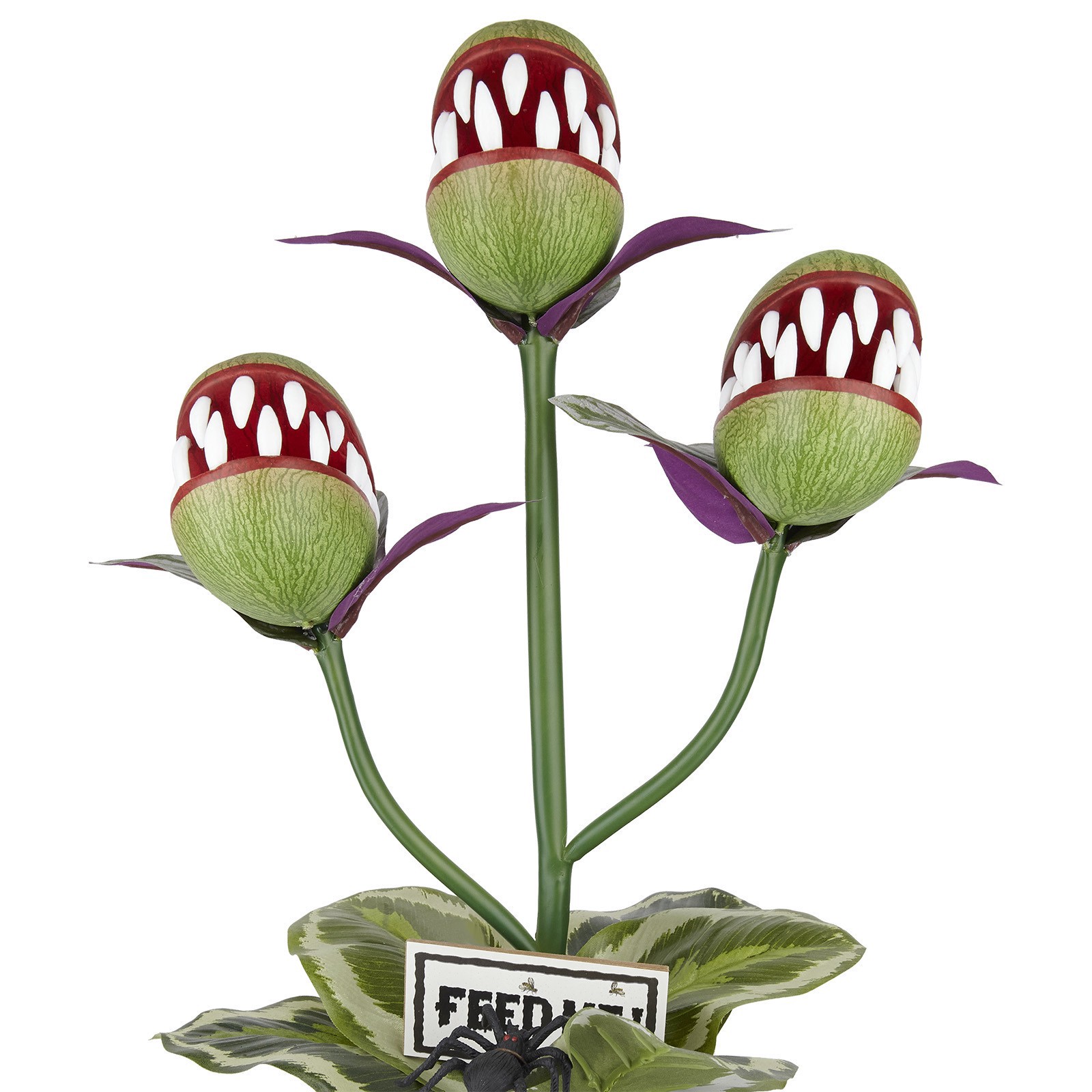 slide 2 of 2, 24" Venus Flytrap Trio In Rustic Black Pot By Ashland, 24 in