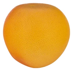 Organic Grapefruit