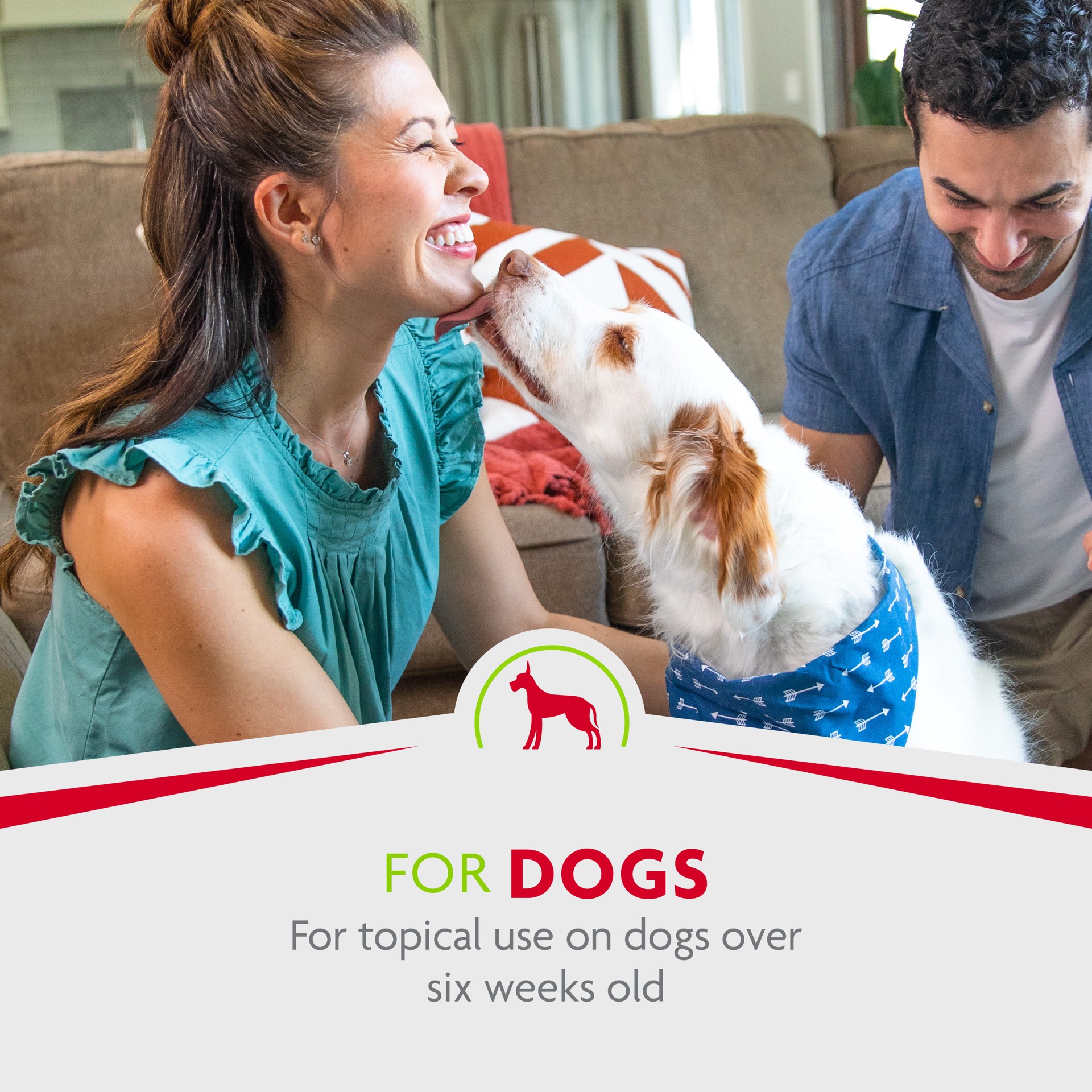 slide 3 of 7, FURminator® Rinse-Free Deshedding Spray, 0.65 lb