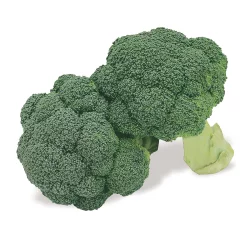 Northgate Organic Broccoli