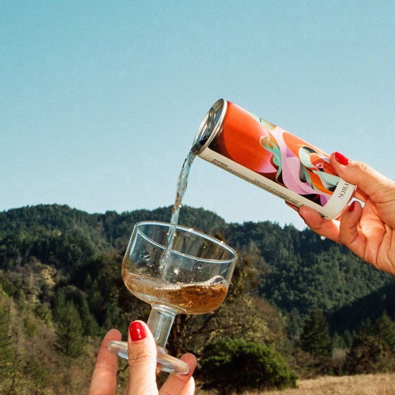 slide 2 of 5, Nomadica California Orange Wine, 4 ct