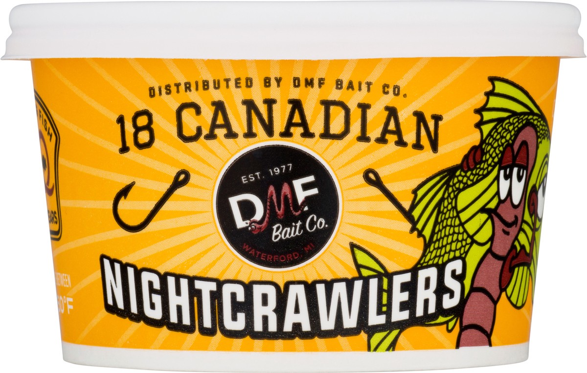 slide 6 of 10, DMF Bait Co. Canadian Nightcrawlers 18 ea, 18 ct