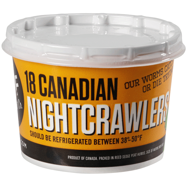 slide 1 of 1, DMF Bait Canadian Nightcrawlers, 1 ct