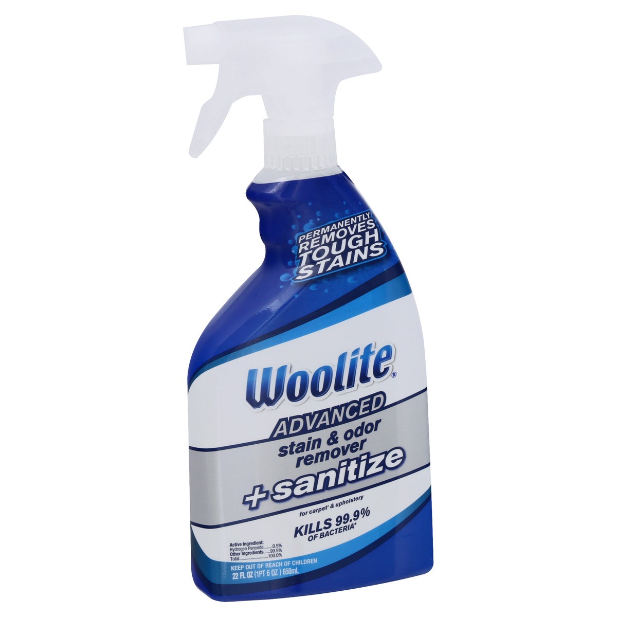 slide 2 of 9, Woolite Stain & Odor Remover + Sanitize, Advanced, 22 oz