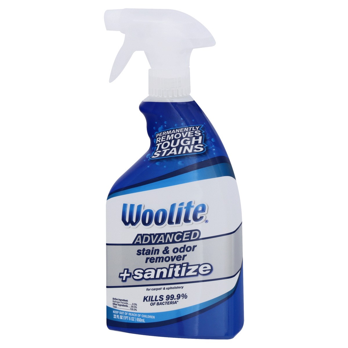 slide 3 of 9, Woolite Stain & Odor Remover + Sanitize, Advanced, 22 oz