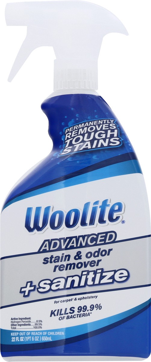 slide 8 of 9, Woolite Stain & Odor Remover + Sanitize, Advanced, 22 oz