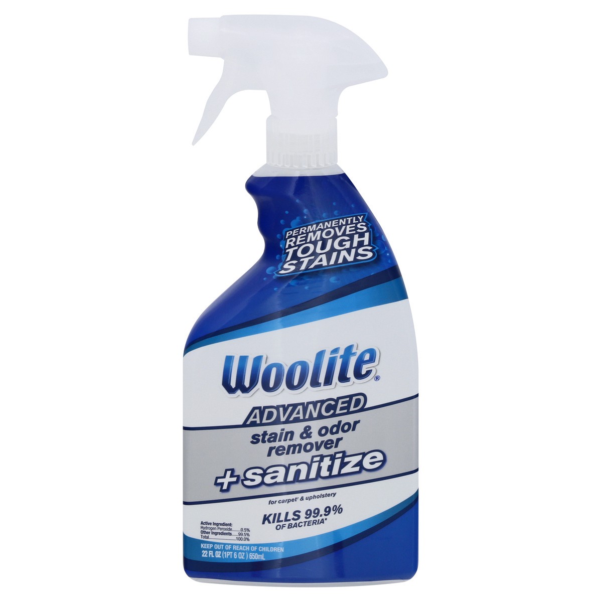 slide 1 of 9, Woolite Stain & Odor Remover + Sanitize, Advanced, 22 oz