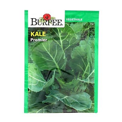 slide 1 of 1, Burpee Premier Kale Vegetable Seeds, 1 ct