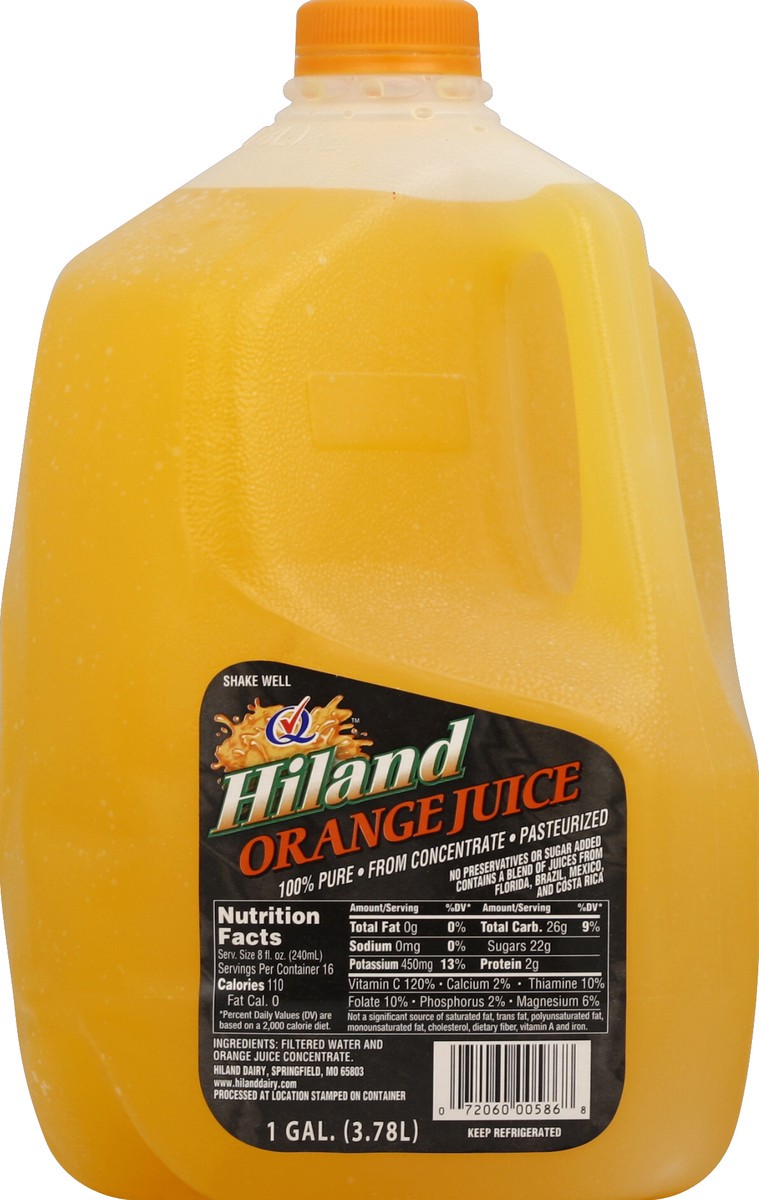 slide 1 of 4, Hiland Dairy Orange Juice 1 gl, 1 gal