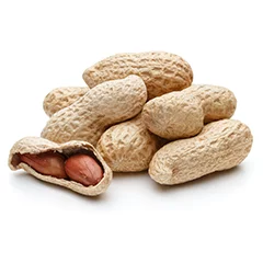 Peanuts