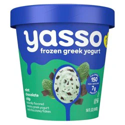 Yasso Mint Chocolate Chip Frozen Greek Yogurt 14 fl oz