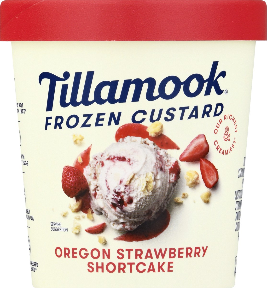 slide 6 of 9, Tillamook Oregon Strawberry Shortcake Frozen Custard Dessert, 15fl-oz, 338.47 g