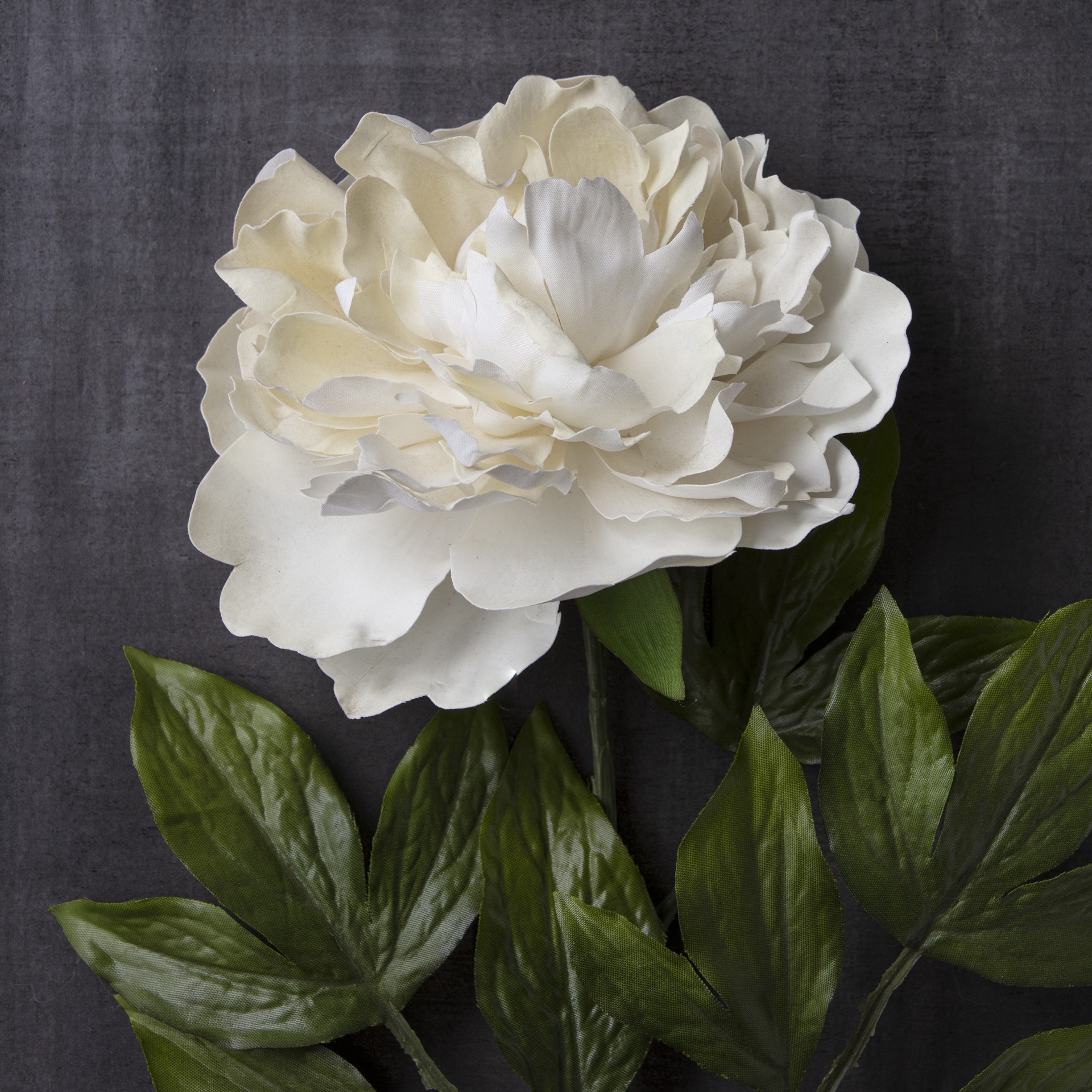 slide 3 of 3, White Peony Stem By Ashland, 25 in
