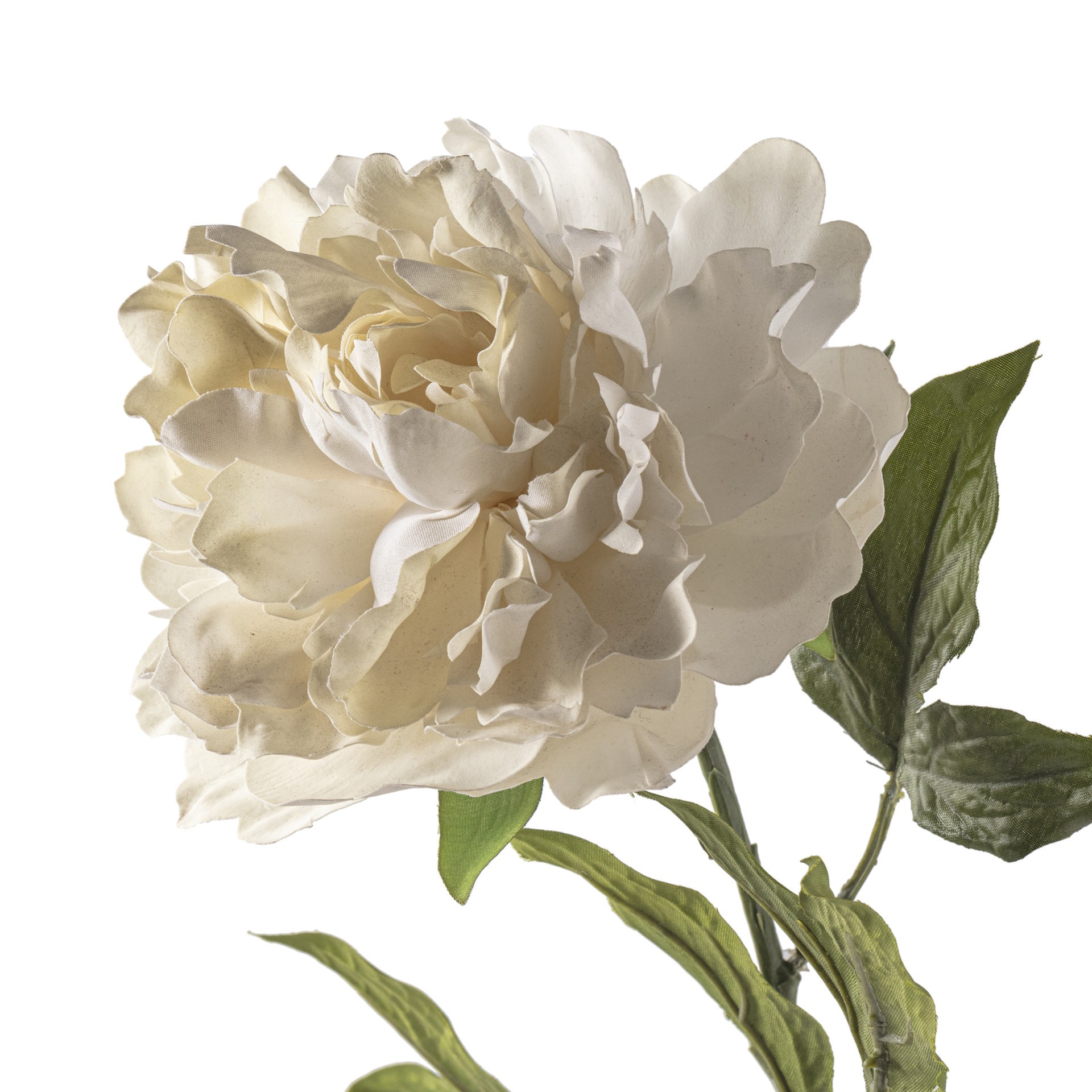 slide 2 of 3, White Peony Stem By Ashland, 25 in