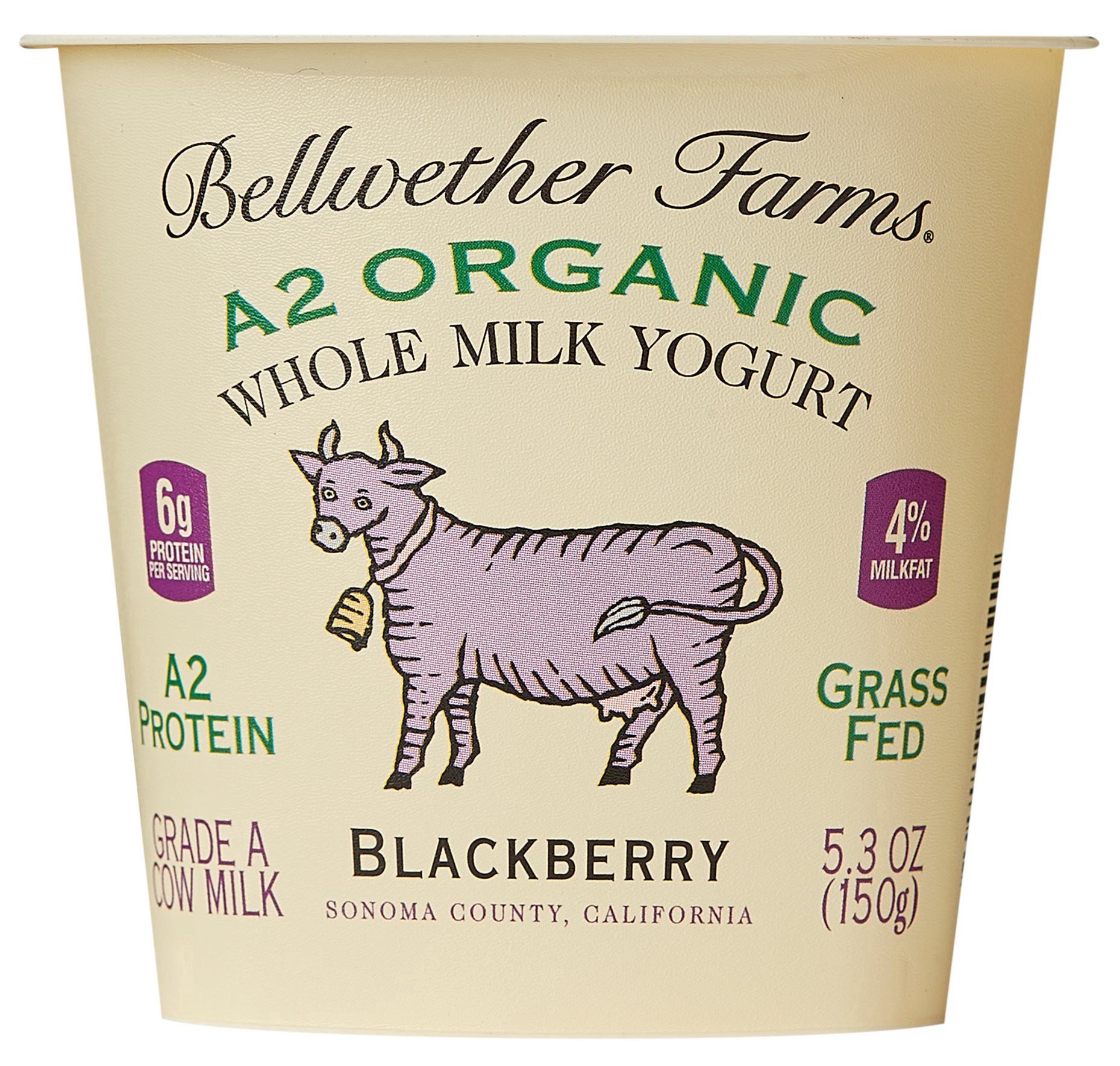 slide 1 of 1, Bellwether Farms A2 Organic Blackberry Whole Milk Yogurt, 5.3 oz