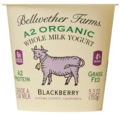 Bellwether Farms A2 Organic Blackberry Whole Milk Yogurt