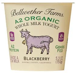 Bellwether Farms A2 Organic Blackberry Whole Milk Yogurt