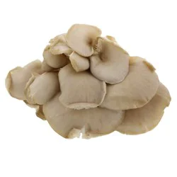 Produce Mushroom 1 ea