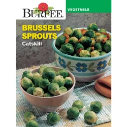 Burpee Catskill Brussels Sprouts
