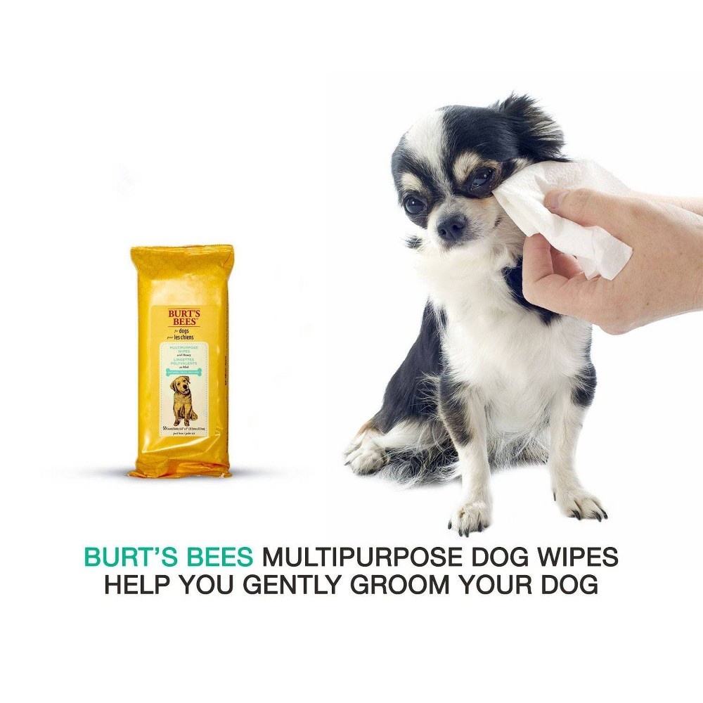 slide 3 of 4, Burt's Bees Pet Cleaning Wipes, 50 ct