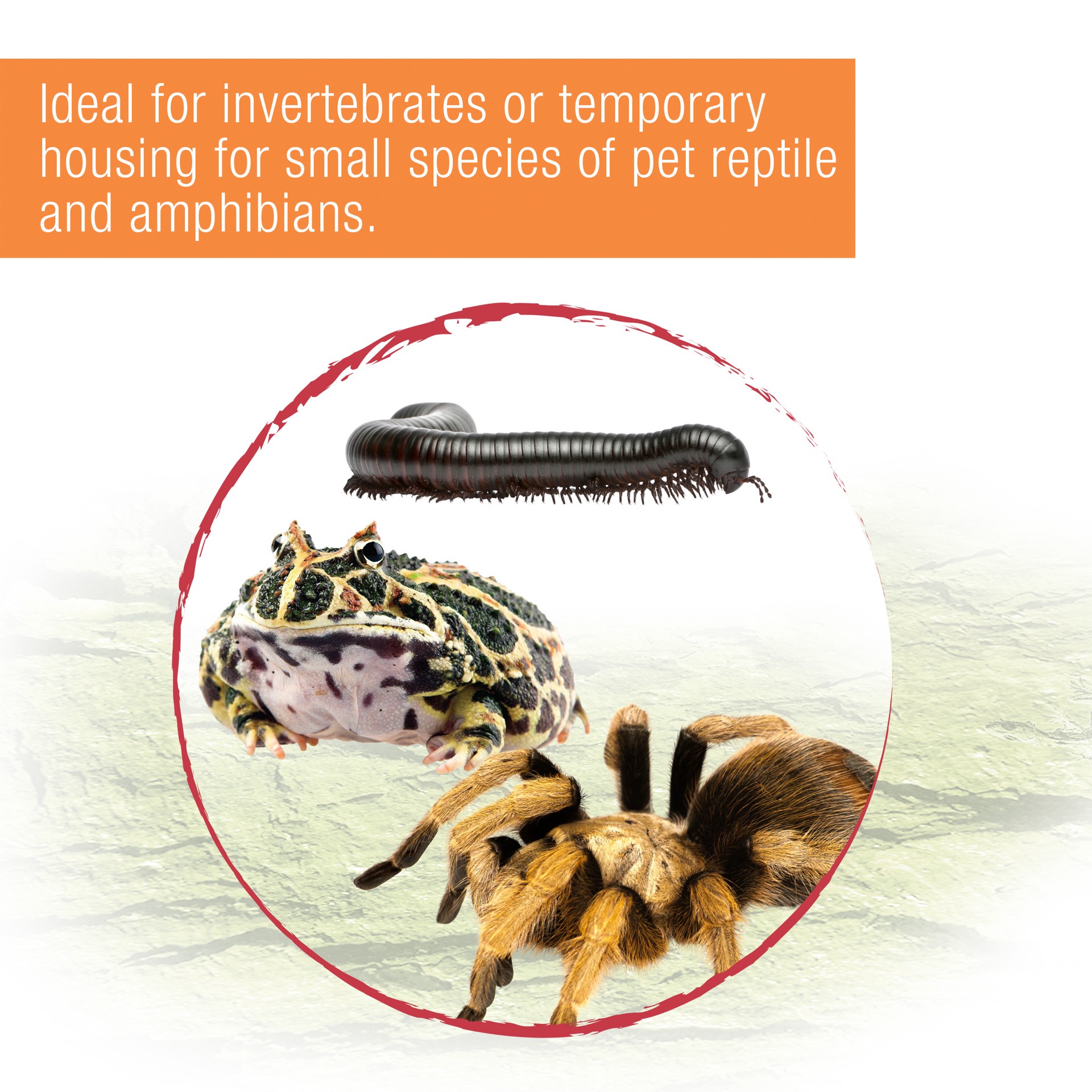 slide 7 of 10, Zilla Micro Habitat Terrariums with Locking Latch Terrestrial, Large, 1 ct