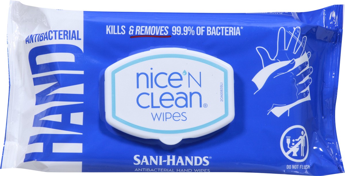 slide 6 of 9, Nice 'n Clean Sani-Hands Antibacterial Hand Wipes 90 ea, 90 ct