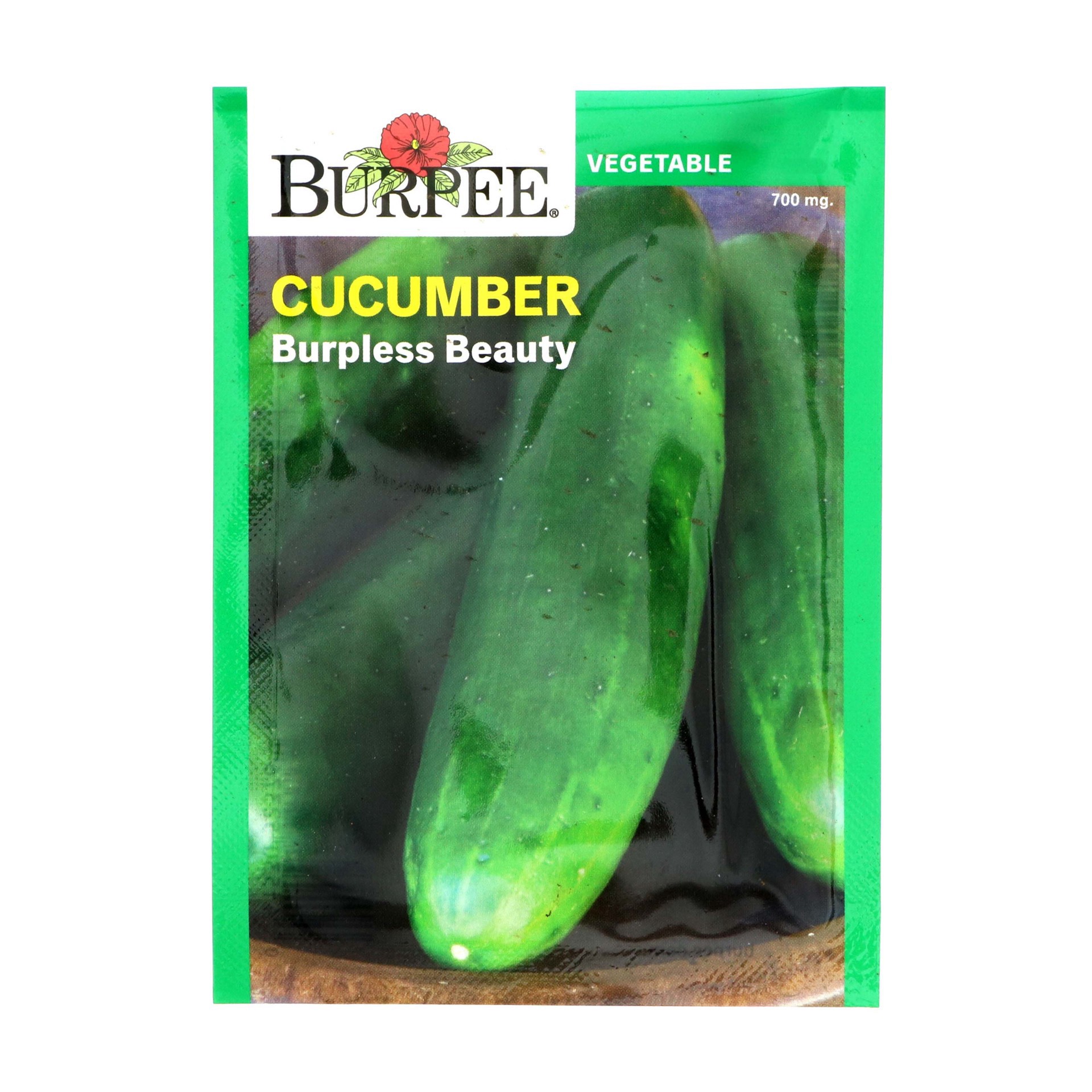 slide 1 of 1, Burpee Cucumber Burpless Beauty Vegetable Seeds, 1 ct