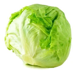 Iceberg Lettuce