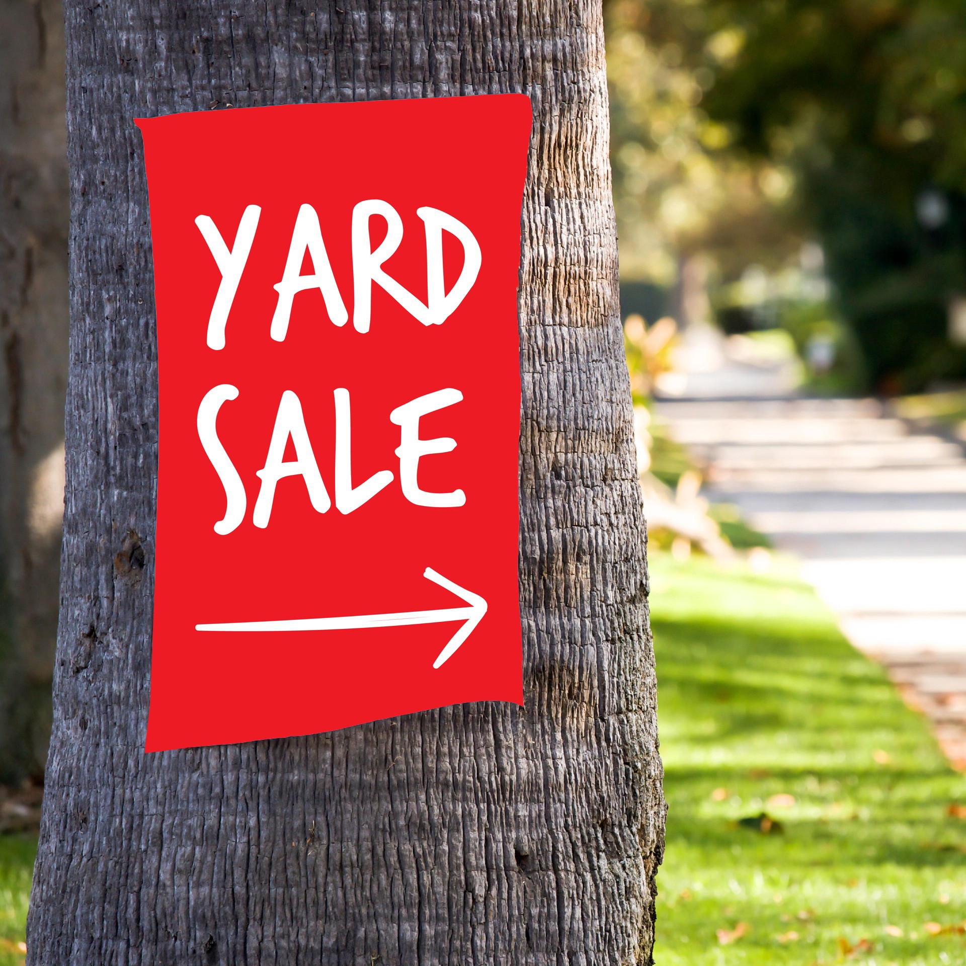 slide 3 of 3, Royal Brites 22" X 28" Color Poster Board, 22 in x 28 in