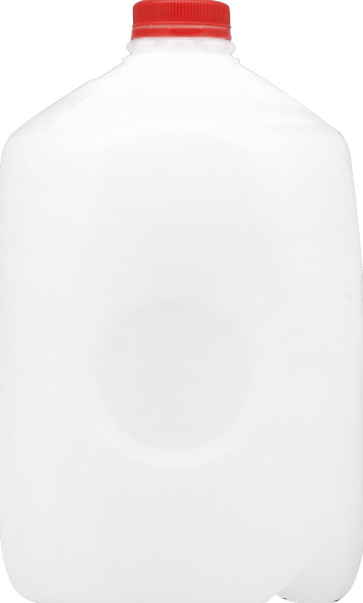 slide 4 of 5, Model Dairy Milk 1 gl, 1 gal