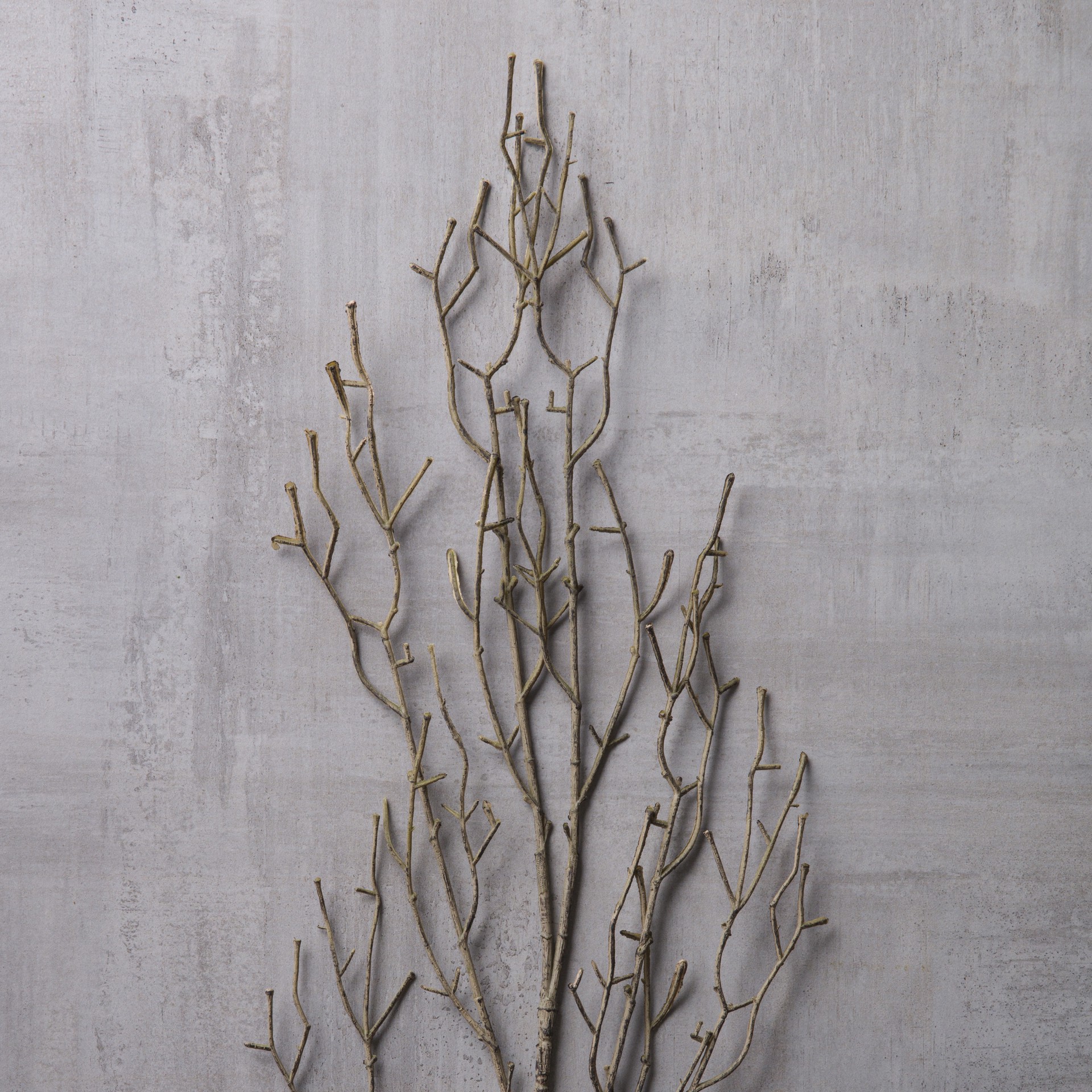 slide 3 of 3, Brown Twig Stem By Ashland, 41.5 in