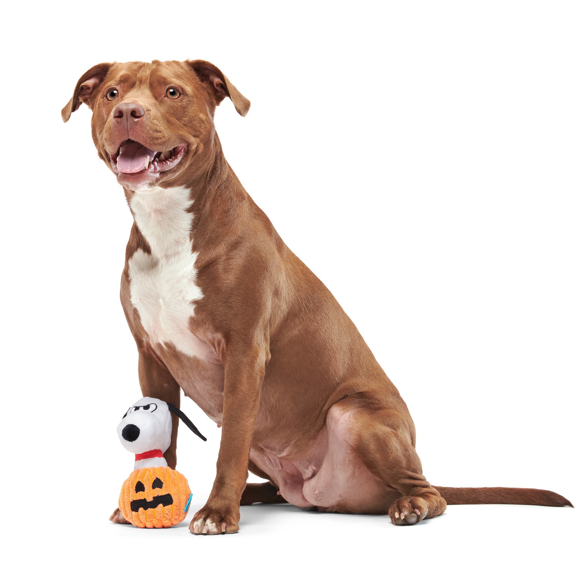 slide 2 of 6, BARK Peanuts Halloween Plush Dog Toy, 1 ct