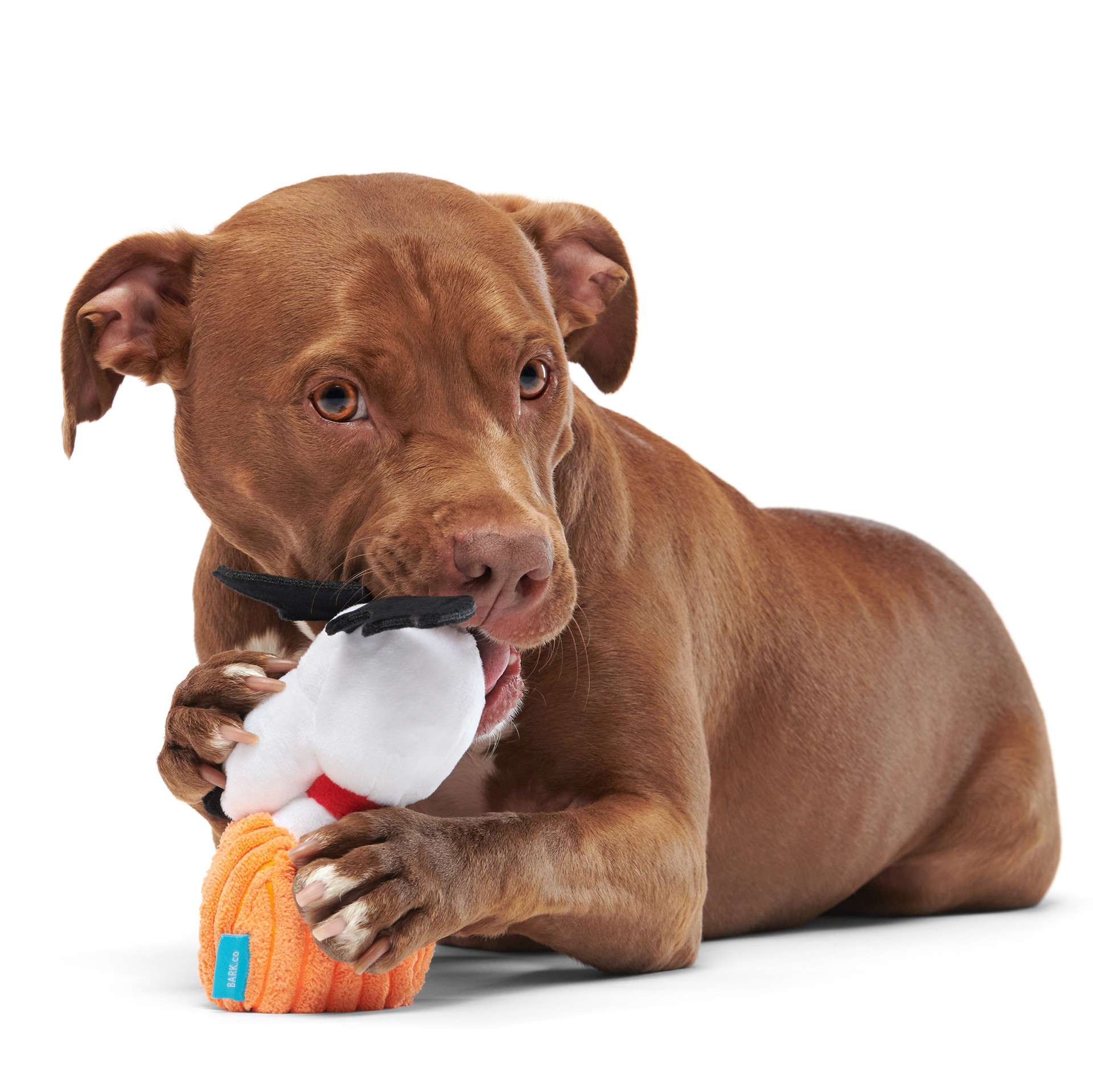 slide 4 of 6, BARK Peanuts Halloween Plush Dog Toy, 1 ct