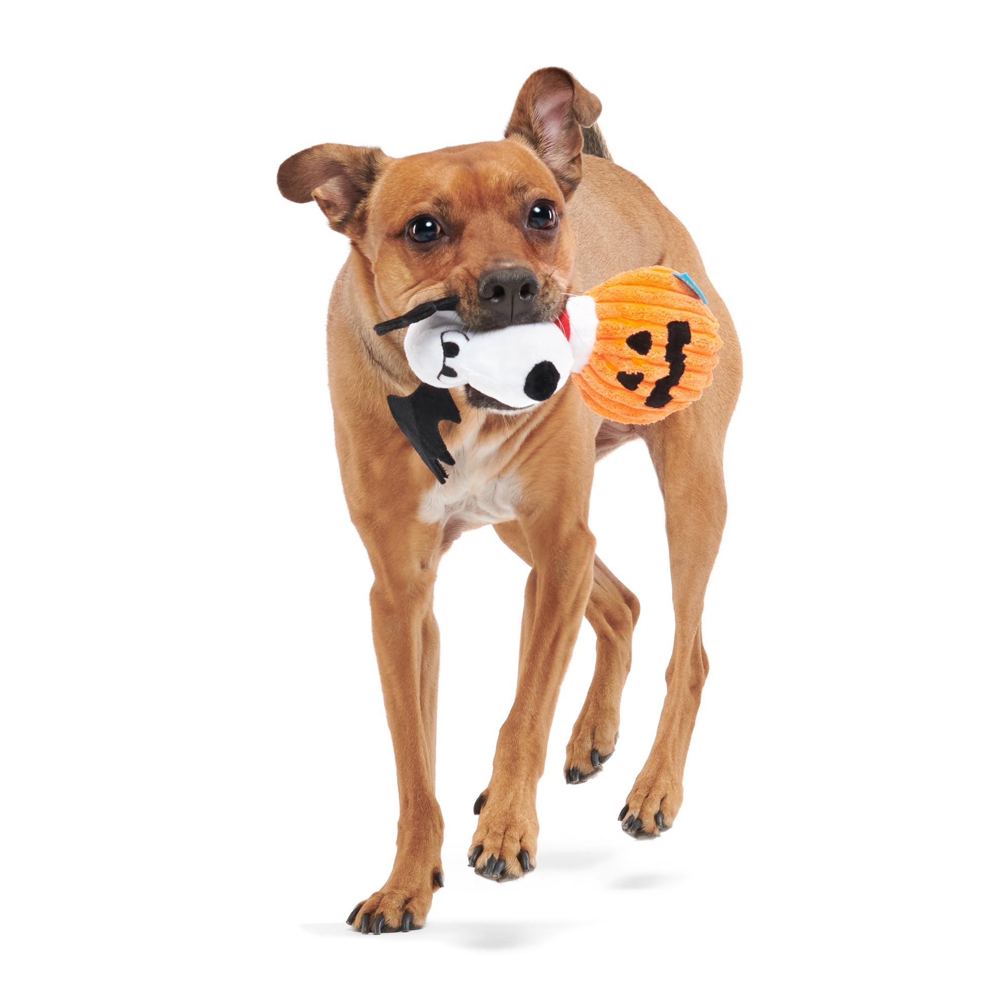 slide 3 of 6, BARK Peanuts Halloween Plush Dog Toy, 1 ct