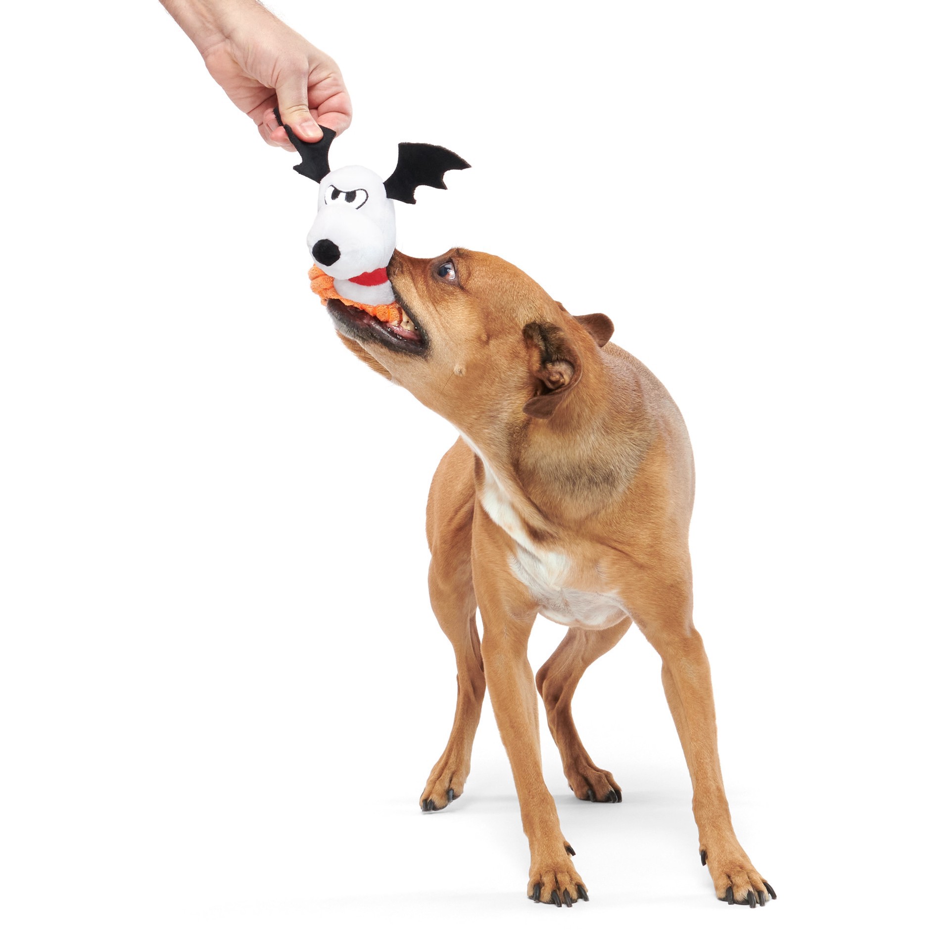 slide 6 of 6, BARK Peanuts Halloween Plush Dog Toy, 1 ct