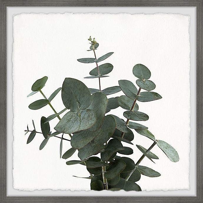 slide 1 of 5, Marmont Hill Green Eucalyptus Leaves Squared Framed Wall Art, 12 in