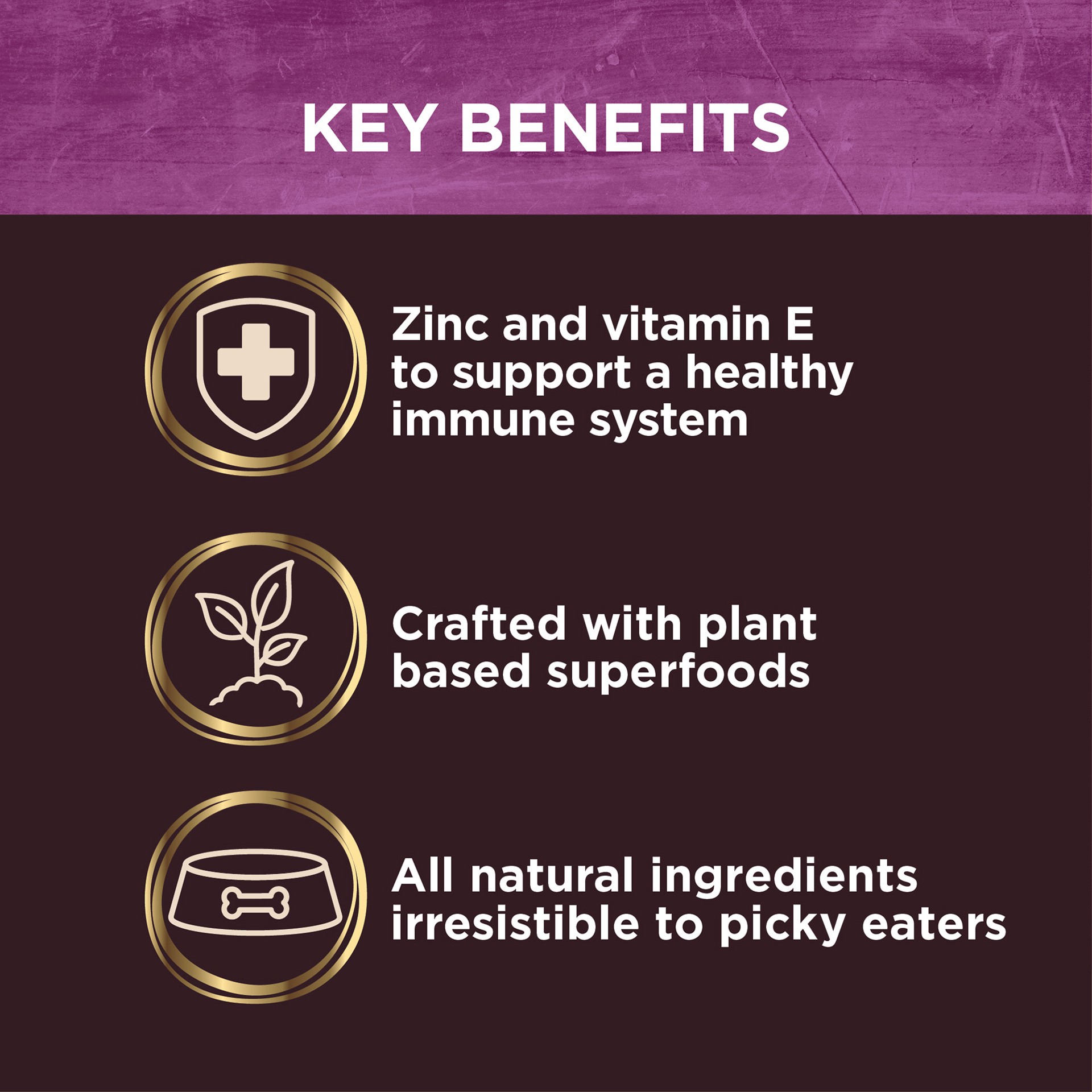 slide 4 of 5, Wellness Bowl Boosters, Dog Food Topper for Small, Medium, & Large Breeds, Grain Free, Natural, Freeze Dried, Immune Health, Plant Based, 4 Ounce Bag (Pack of 1), 1 ct