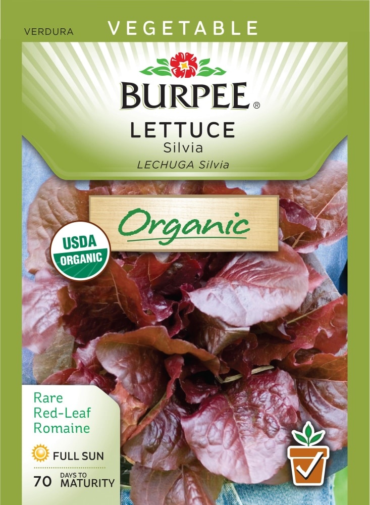 slide 1 of 1, Burpee Organic Silvia Lettuce Seeds, 1 ct