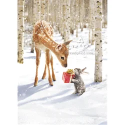 Avanti Boxed Christmas Card Set