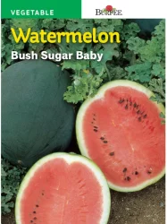 Burpee Bush Sugar Baby Watermelon Seeds - Green