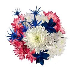 Freedon Shines Patriotic Bouquet, 1 ct
