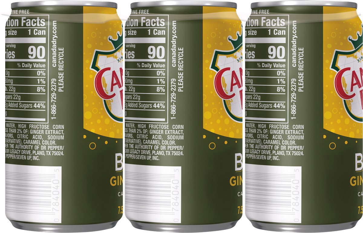 slide 7 of 7, Canada Dry Bold Ginger Ale Soda Mini Cans- 45 fl oz, 45 fl oz