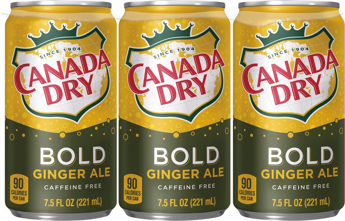 slide 2 of 7, Canada Dry Bold Ginger Ale Soda Mini Cans- 45 fl oz, 45 fl oz