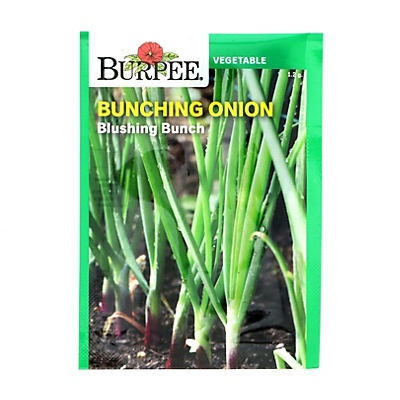 slide 1 of 1, Burpee Bunching Onion Blushing Bunch Seeds, 1 ct