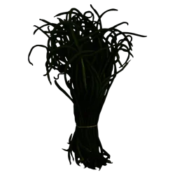 Produce Long Beans 1 ea