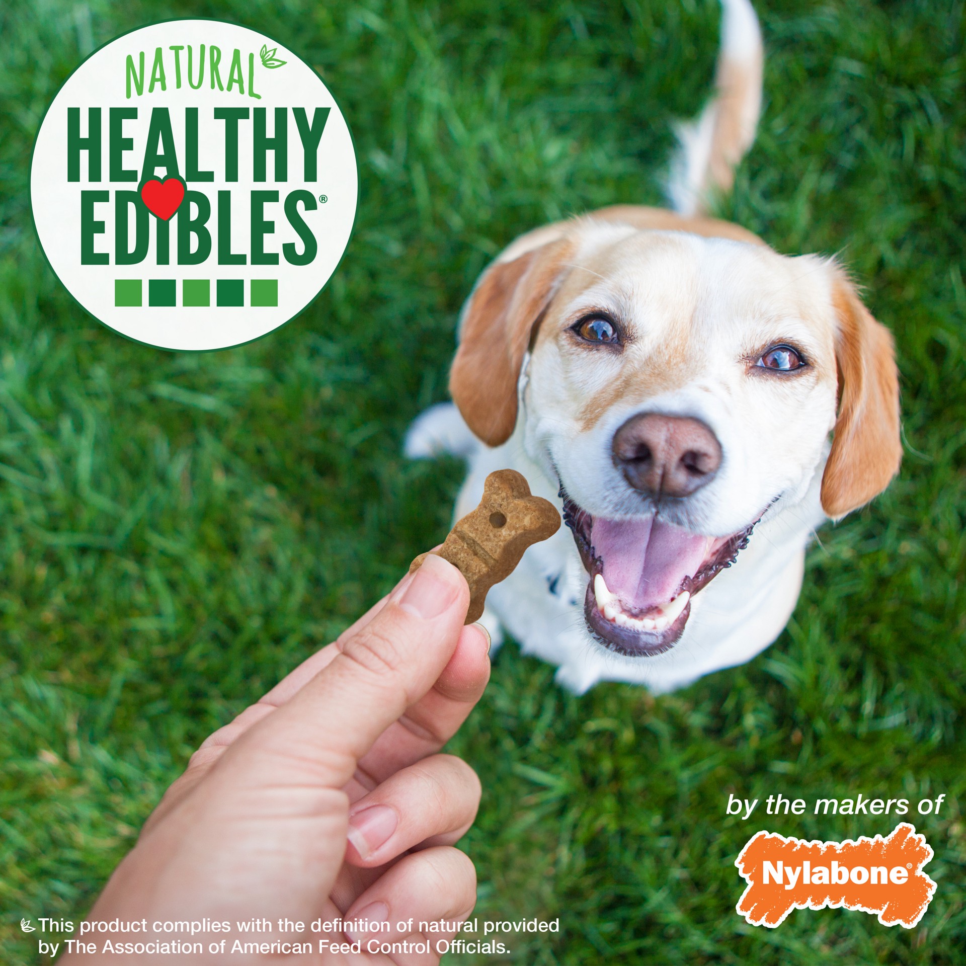 slide 10 of 10, Nylabone Healthy Edibles Biscuits Grain Free Dog Treats Peanut Butter & Apple 12 Ounce, 12 oz